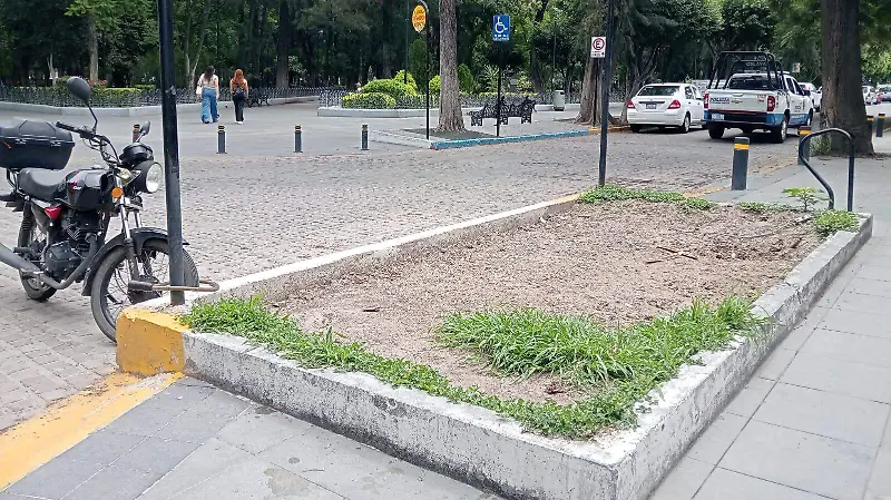 alameda 2